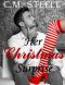 [The Kane Family 02] • Her Christmas Surprise